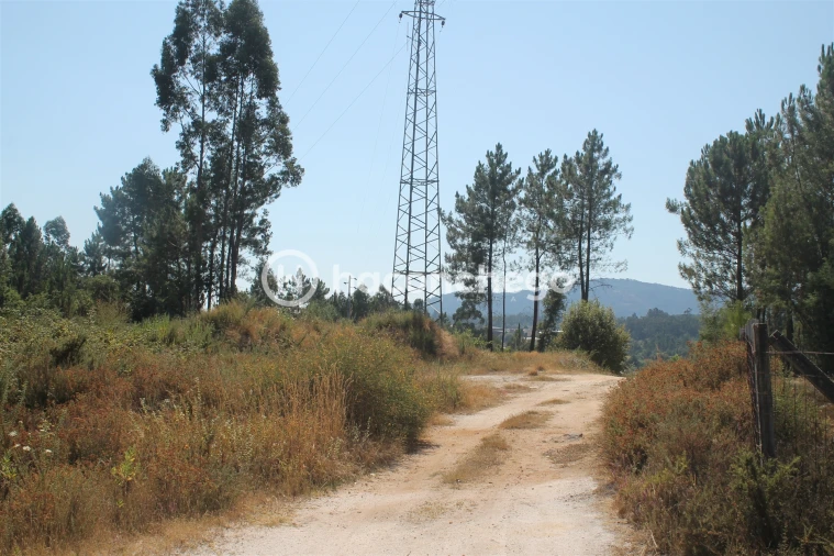 Terreno para Venda em Ucha Foto 3