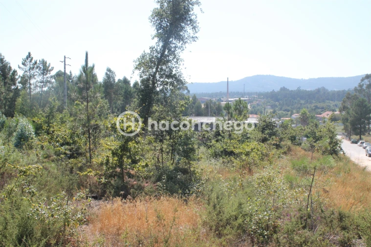 Terreno para Venda em Ucha Foto 1