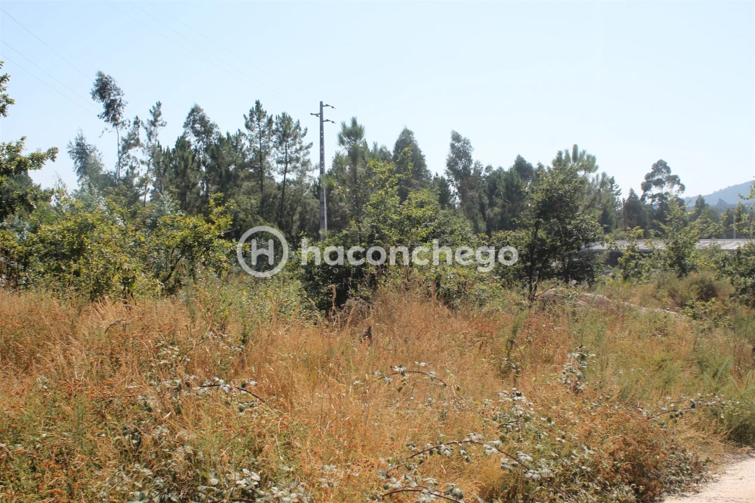 Terreno para Venda em Ucha Foto 9