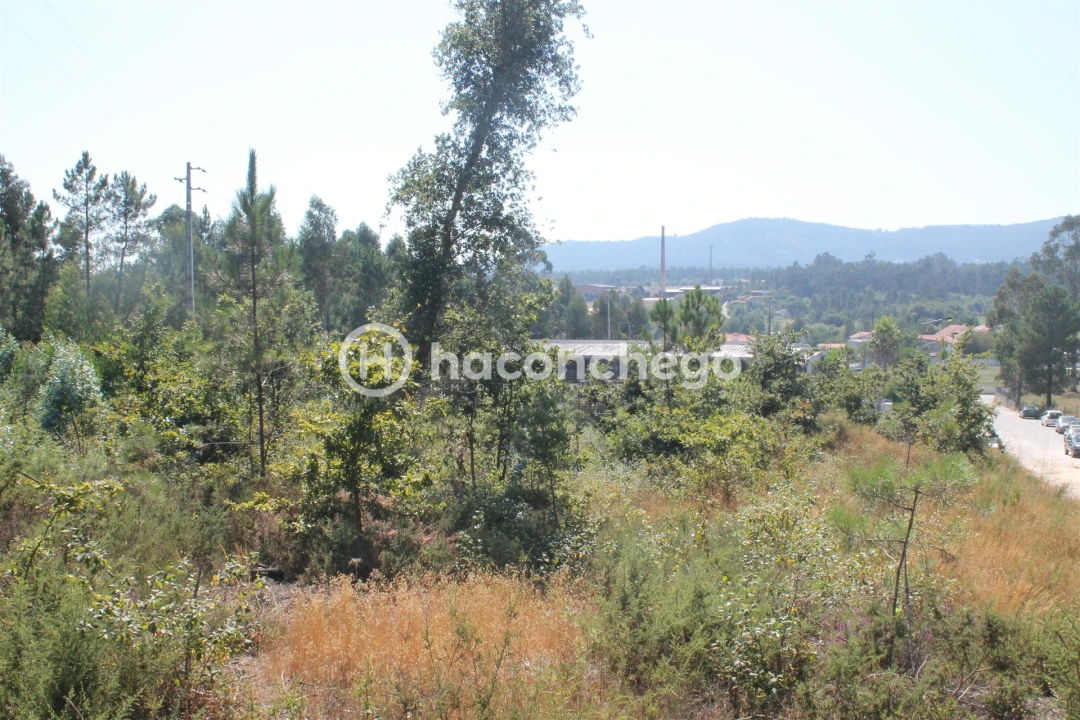 Terreno para Venda em Ucha Foto 1