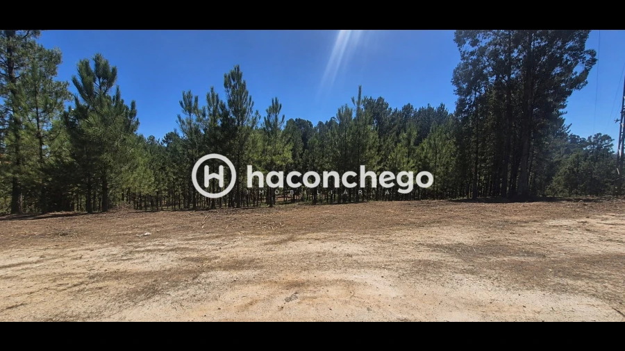 Terreno para Venda em Ucha