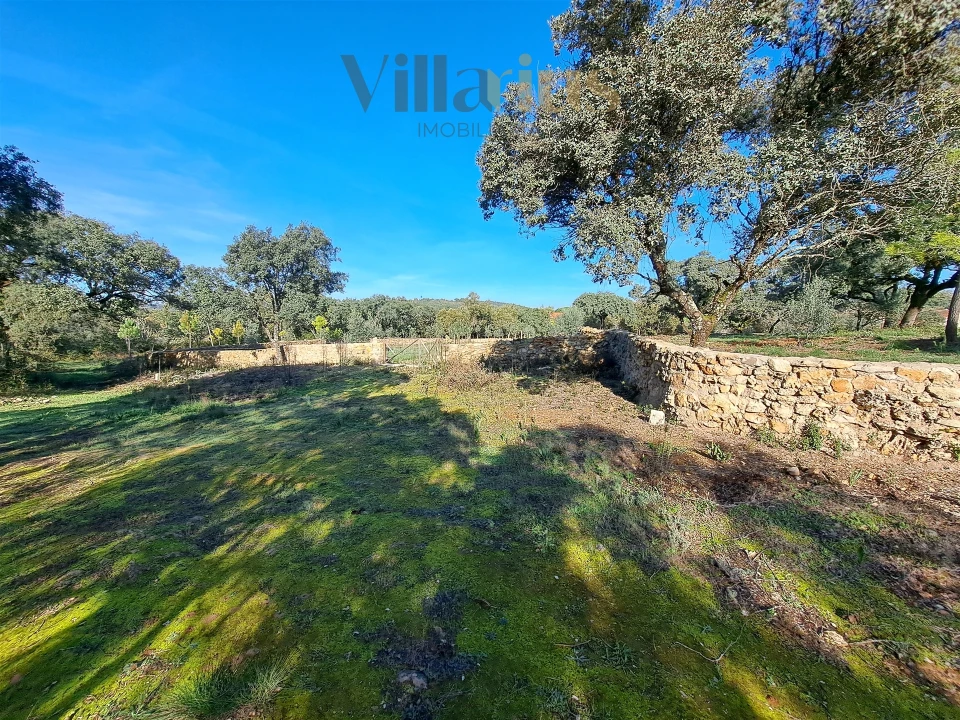 Terreno para Venda em Areias e Pias Foto 12