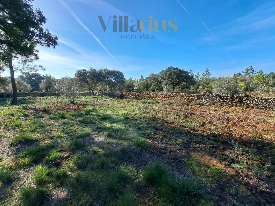 Terreno para Venda em Areias e Pias Foto 8