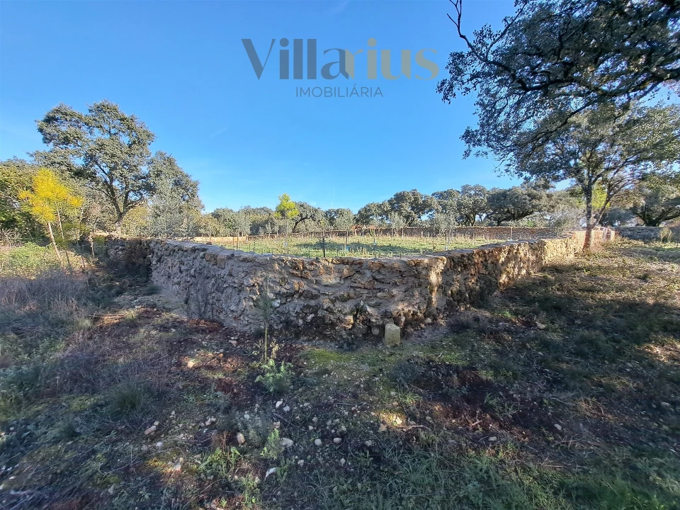 Terreno para Venda em Areias e Pias Foto 15