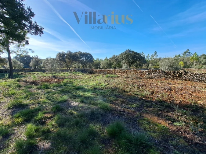 Terreno para Venda em Areias e Pias Foto 8