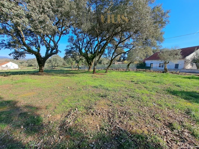 Terreno para Venda em Areias e Pias Foto 3