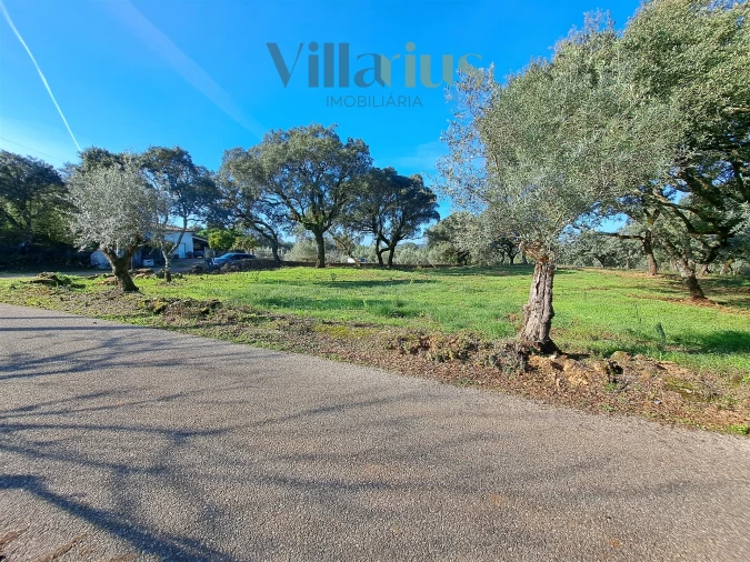 Terreno para Venda em Areias e Pias Foto 23
