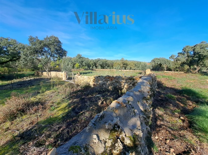 Terreno para Venda em Areias e Pias Foto 6