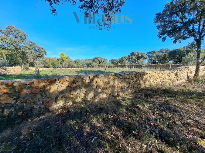 Terreno para Venda em Areias e Pias Foto 14