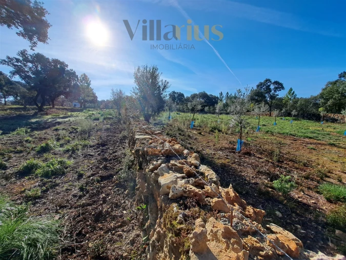 Terreno para Venda em Areias e Pias Foto 27