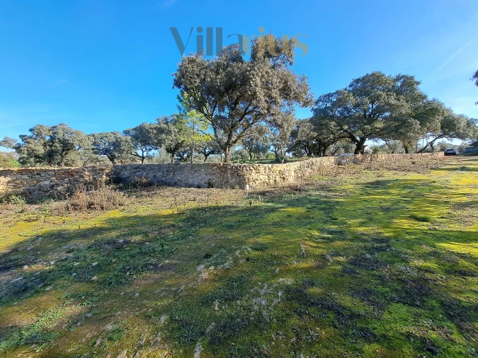 Terreno para Venda em Areias e Pias Foto 19