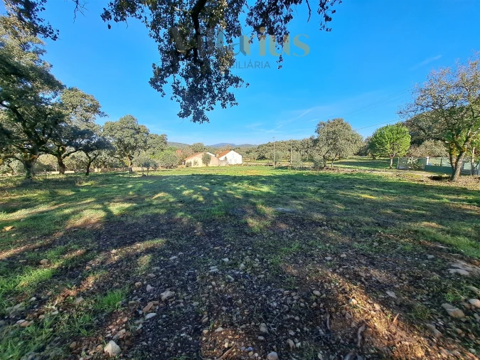Terreno para Venda em Areias e Pias Foto 1