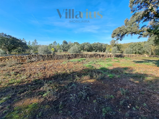 Terreno para Venda em Areias e Pias Foto 9
