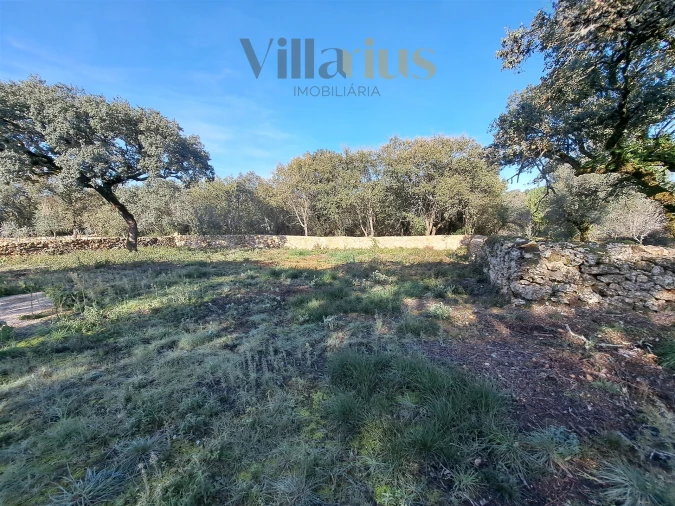 Terreno para Venda em Areias e Pias Foto 25