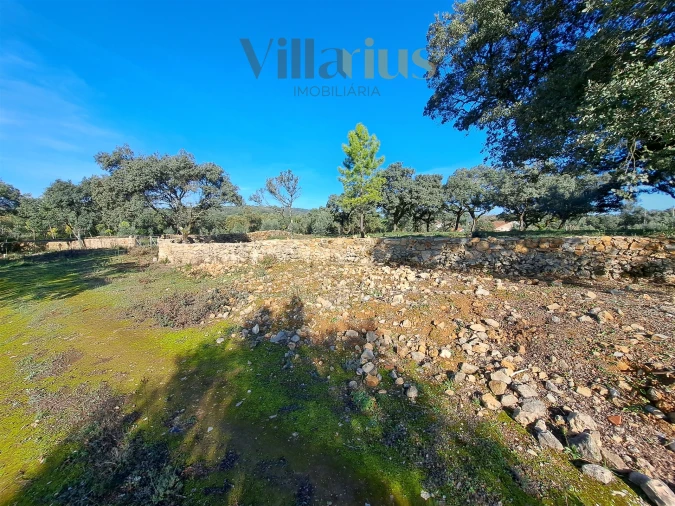 Terreno para Venda em Areias e Pias Foto 21