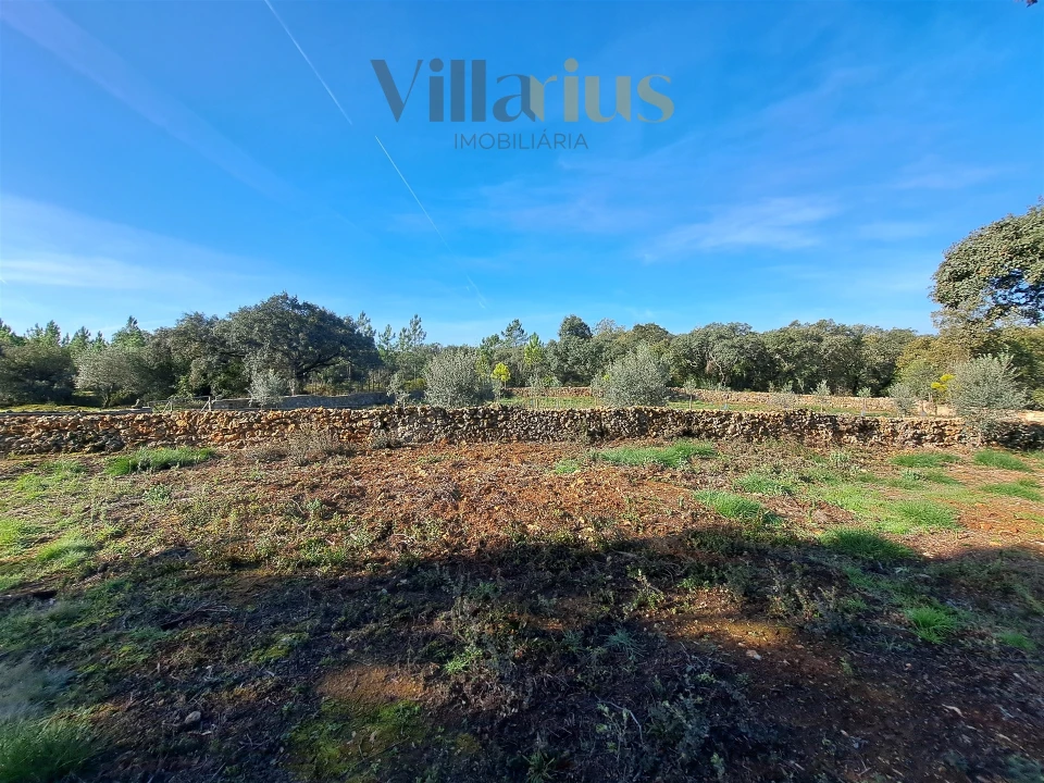 Terreno para Venda em Areias e Pias Foto 7