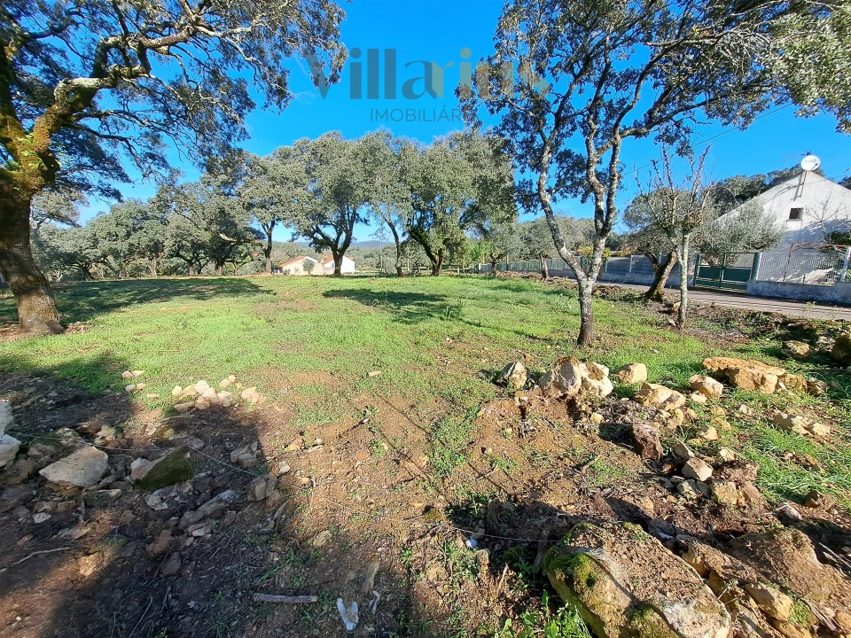 Terreno para Venda em Areias e Pias Foto 10