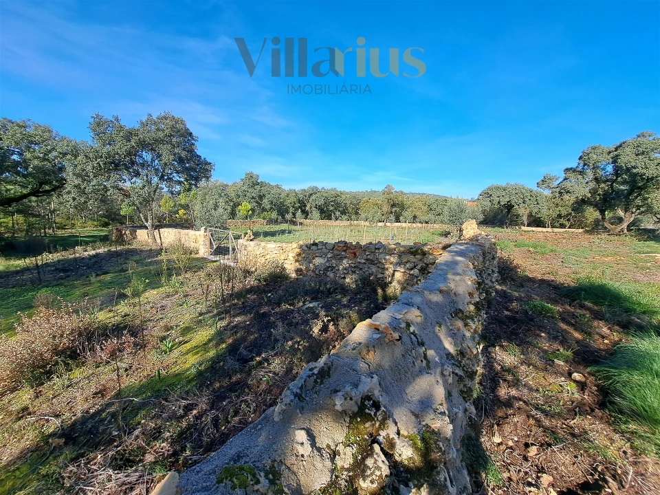Terreno para Venda em Areias e Pias Foto 6