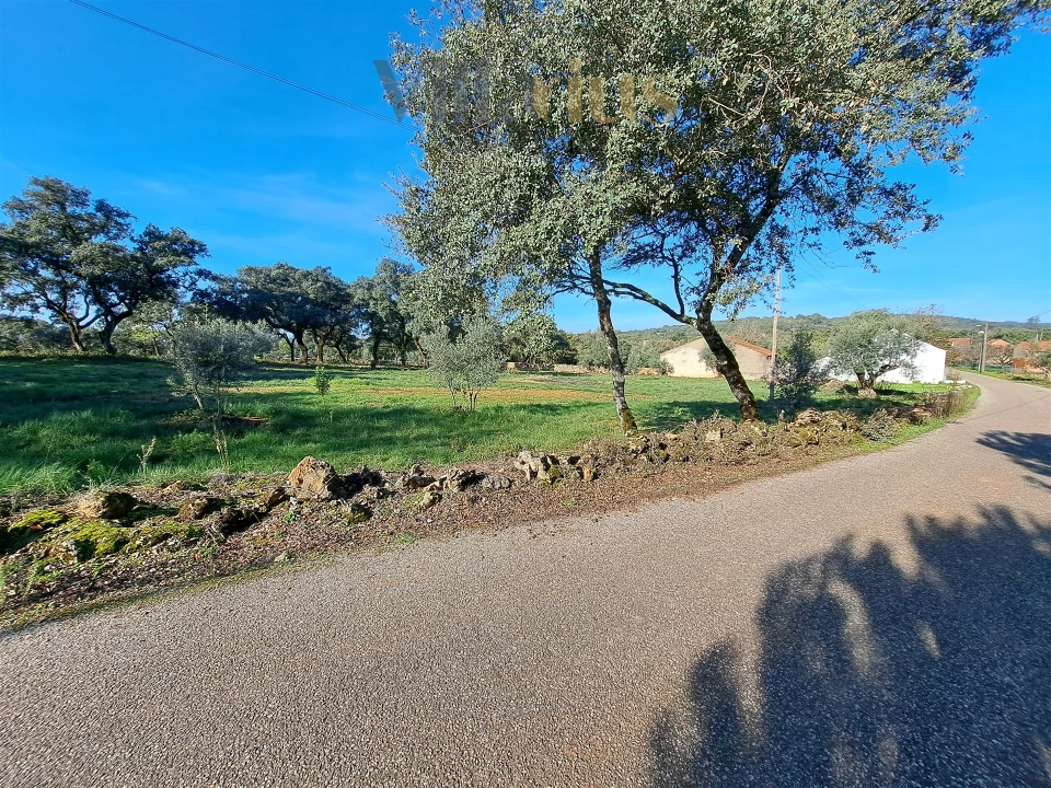 Terreno para Venda em Areias e Pias Foto 22