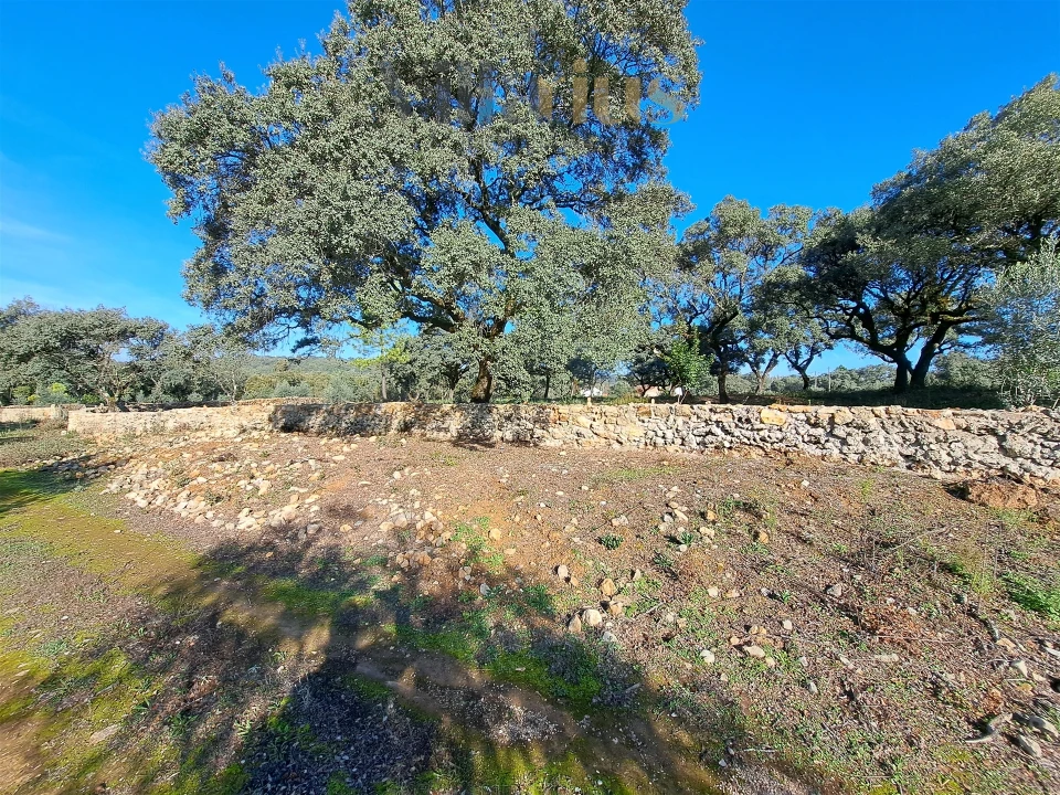 Terreno para Venda em Areias e Pias Foto 11