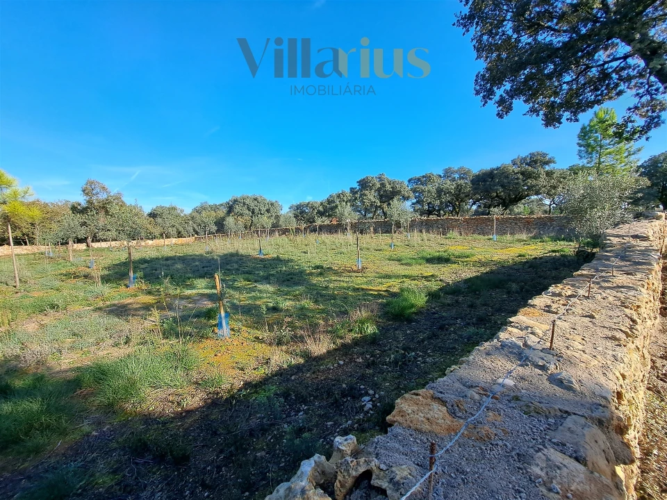Terreno para Venda em Areias e Pias Foto 13