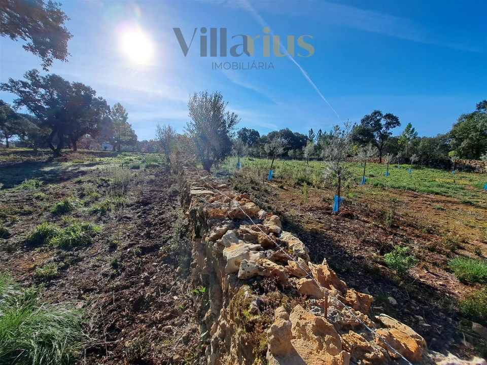 Terreno para Venda em Areias e Pias Foto 27