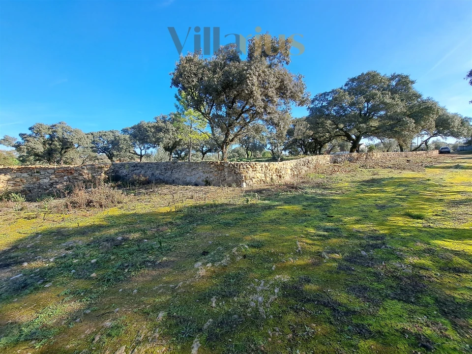 Terreno para Venda em Areias e Pias Foto 19