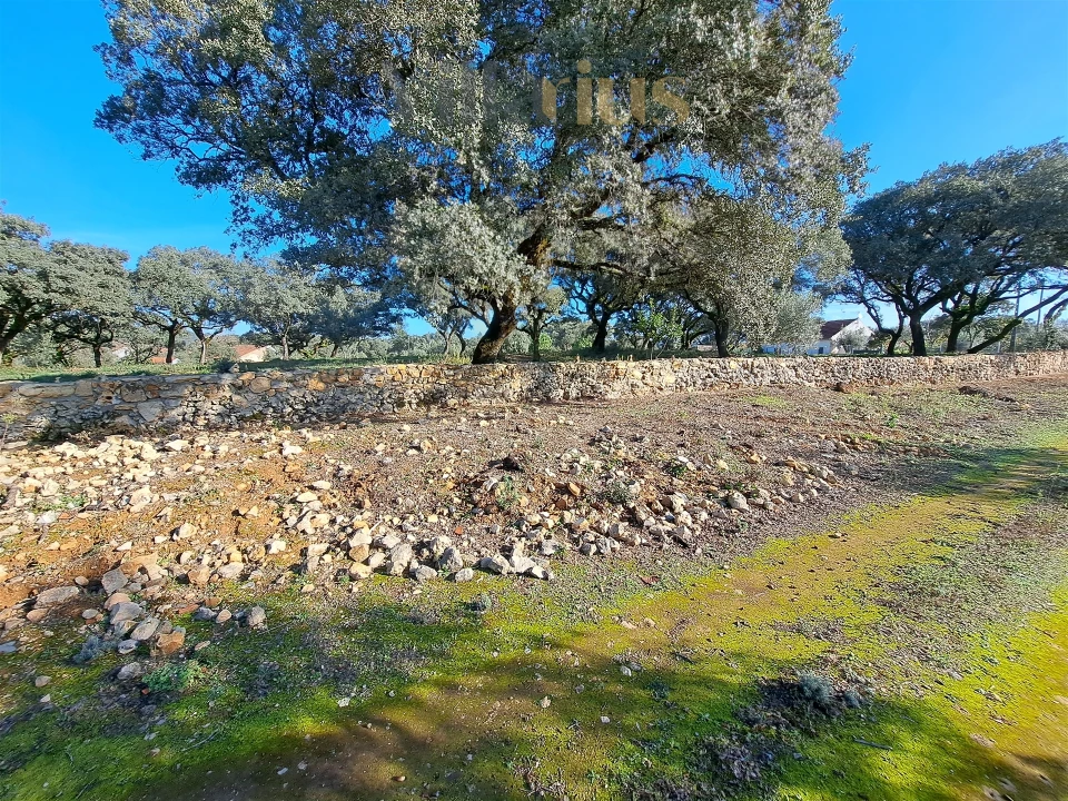 Terreno para Venda em Areias e Pias Foto 20