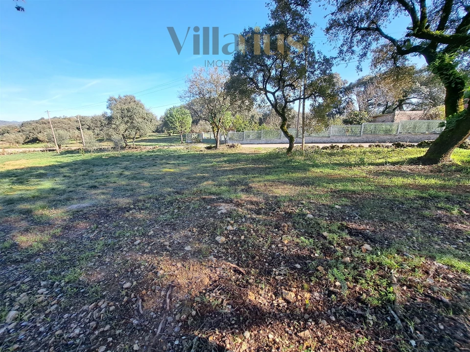 Terreno para Venda em Areias e Pias Foto 2