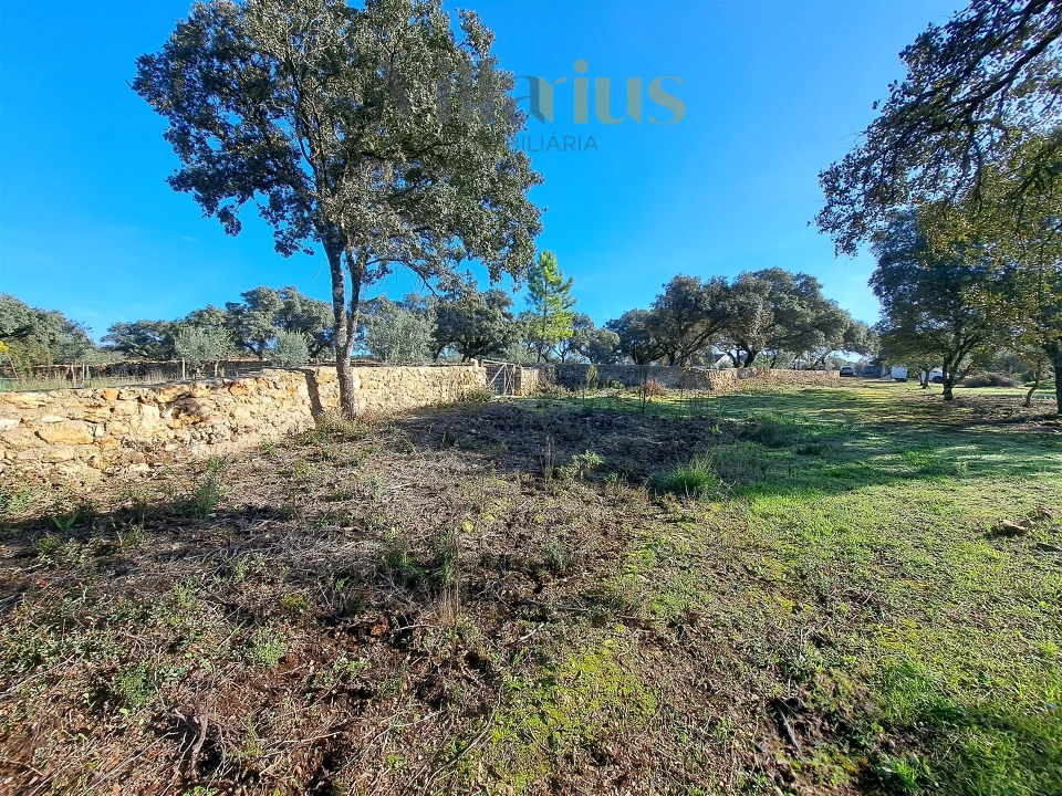 Terreno para Venda em Areias e Pias Foto 16