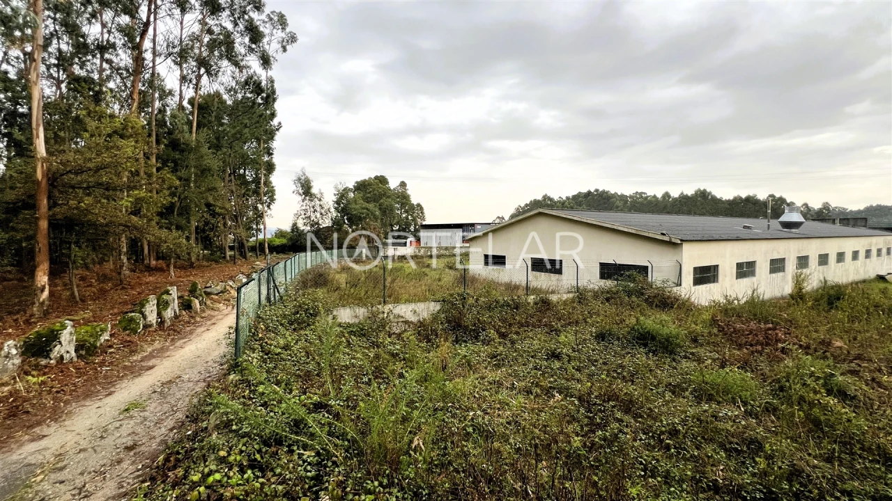 Terreno Comércio / Armazém para Venda em Coronado (São Romão e São Mamede) Foto 3