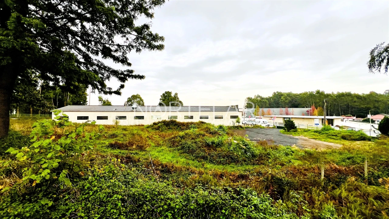 Terreno Comércio / Armazém para Venda em Coronado (São Romão e São Mamede) Foto 1