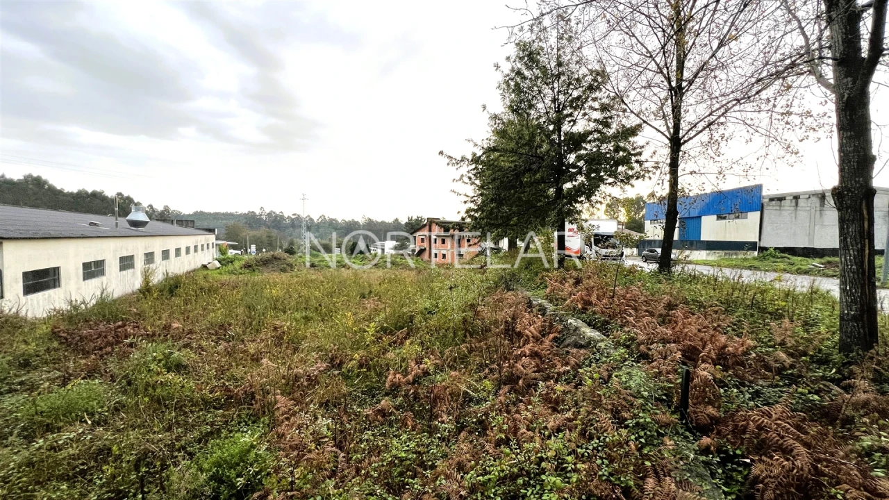 Terreno Comércio / Armazém para Venda em Coronado (São Romão e São Mamede) Foto 4