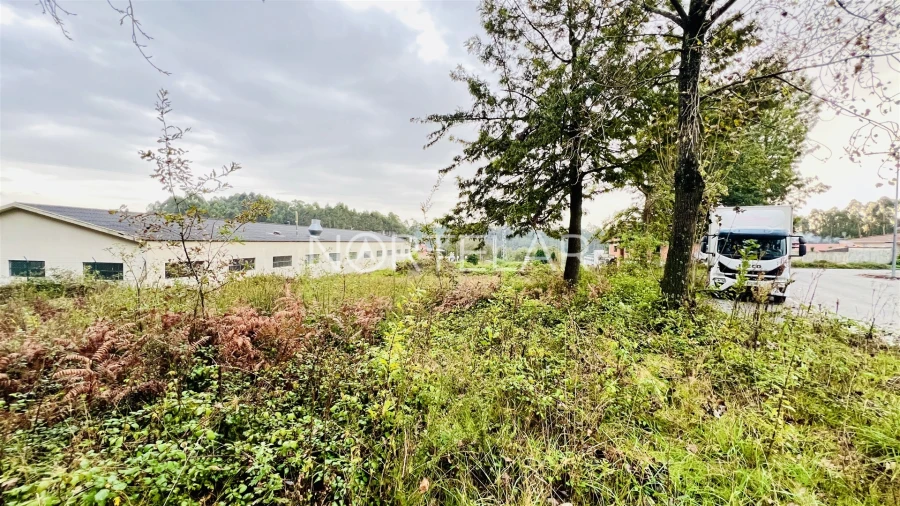 Terreno Comércio / Armazém para Venda em Coronado (São Romão e São Mamede) Foto 7