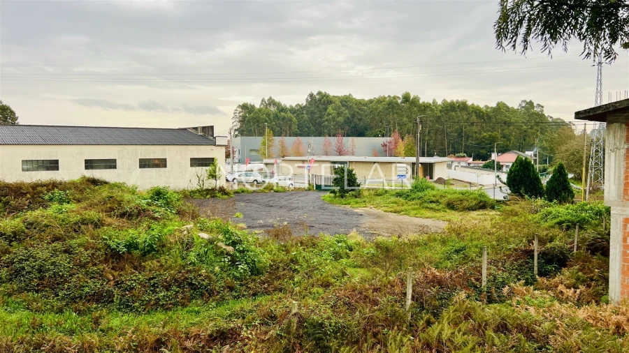 Terreno Comércio / Armazém para Venda em Coronado (São Romão e São Mamede) Foto 9