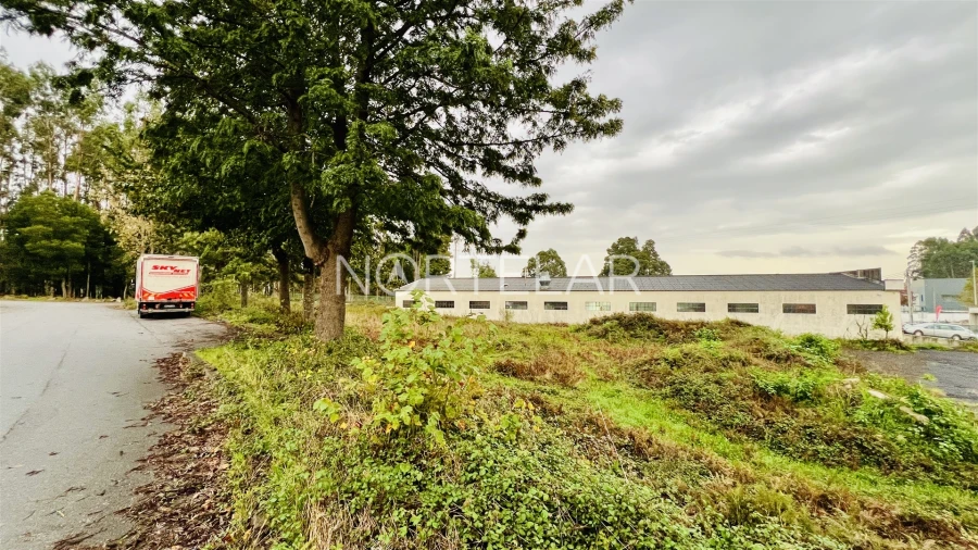 Terreno Comércio / Armazém para Venda em Coronado (São Romão e São Mamede) Foto 11