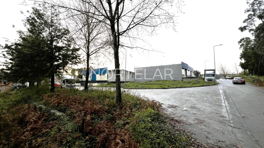 Terreno Comércio / Armazém para Venda em Coronado (São Romão e São Mamede) Foto 13