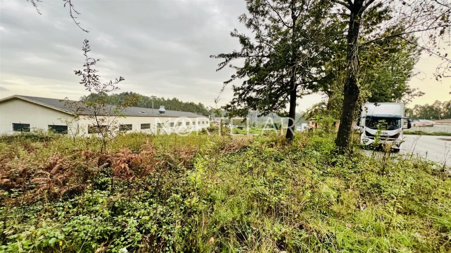 Terreno Comércio / Armazém para Venda em Coronado (São Romão e São Mamede) Foto 6