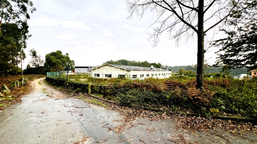 Terreno Comércio / Armazém para Venda em Coronado (São Romão e São Mamede) Foto 5