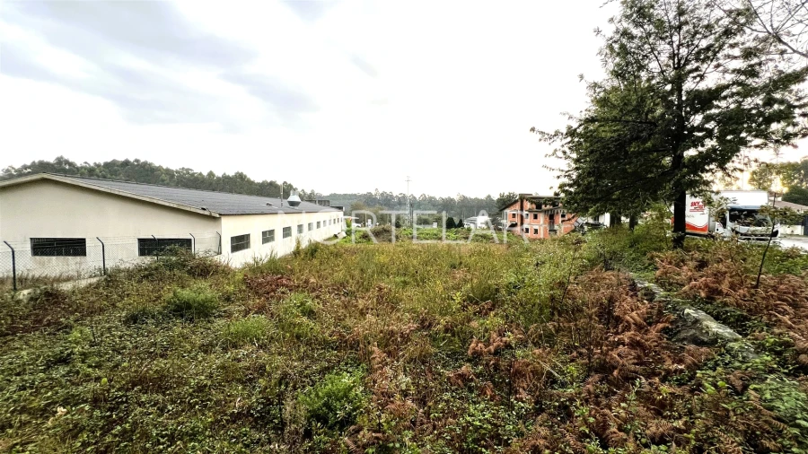 Terreno Comércio / Armazém para Venda em Coronado (São Romão e São Mamede) Foto 2