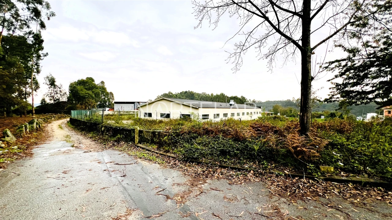 Terreno Comércio / Armazém para Venda em Coronado (São Romão e São Mamede) Foto 5
