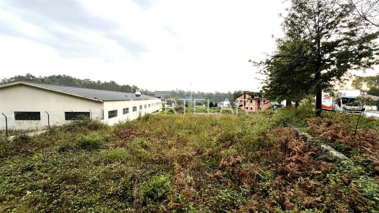 Terreno Comércio / Armazém para Venda em Coronado (São Romão e São Mamede) Foto 2