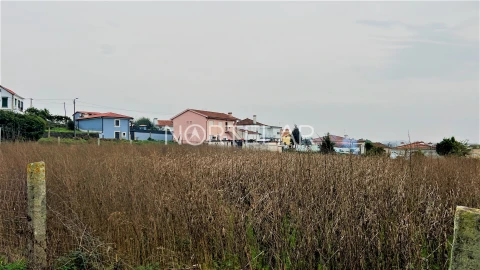 Terreno para Venda em Coronado (São Romão e São Mamede)