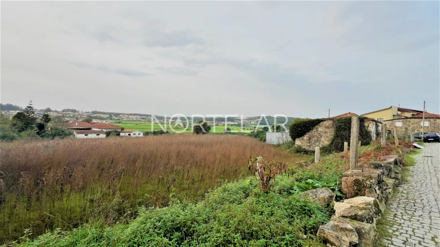Terreno para Venda em Coronado (São Romão e São Mamede) Foto 7