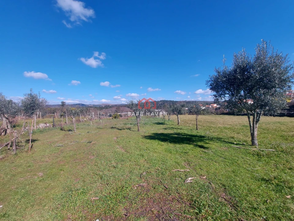 Quinta T0 para Venda em Freixiosa Foto 13