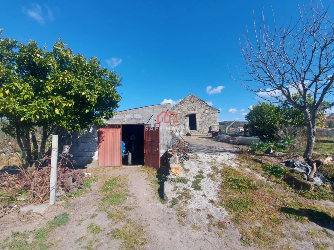 Quinta T0 para Venda em Freixiosa Foto 6