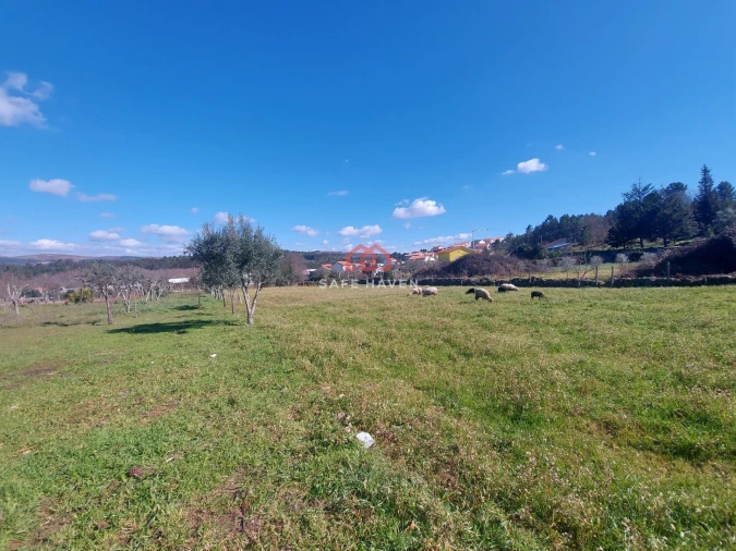 Quinta T0 para Venda em Freixiosa Foto 14