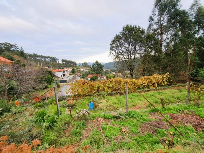 Terreno para Venda em Carreiras (São Miguel) e Carreiras (Santiago) Foto 1