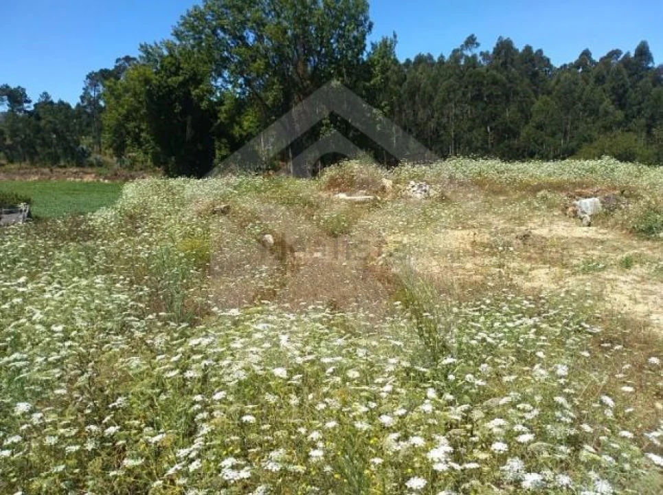 Terreno para Venda em Retorta e Tougues Foto 4