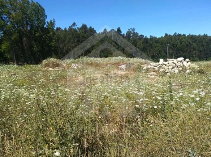 Terreno para Venda em Retorta e Tougues Foto 2